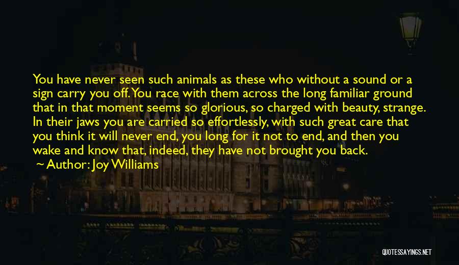 Joy Williams Quotes: You Have Never Seen Such Animals As These Who Without A Sound Or A Sign Carry You Off. You Race