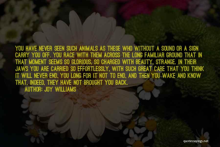 Joy Williams Quotes: You Have Never Seen Such Animals As These Who Without A Sound Or A Sign Carry You Off. You Race