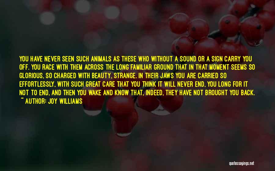 Joy Williams Quotes: You Have Never Seen Such Animals As These Who Without A Sound Or A Sign Carry You Off. You Race