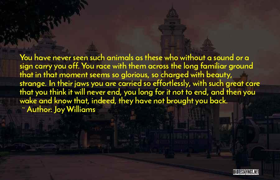 Joy Williams Quotes: You Have Never Seen Such Animals As These Who Without A Sound Or A Sign Carry You Off. You Race