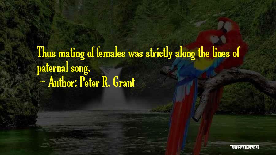 Peter R. Grant Quotes: Thus Mating Of Females Was Strictly Along The Lines Of Paternal Song.