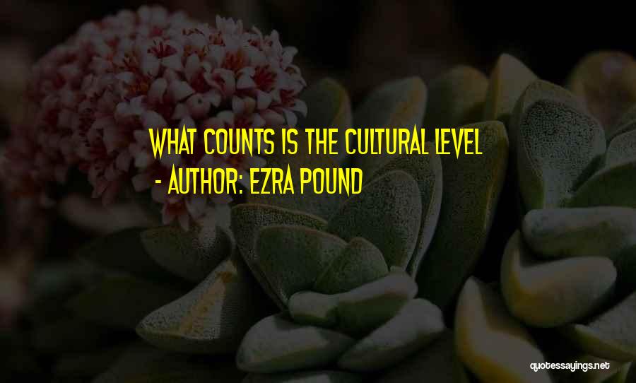 Ezra Pound Quotes: What Counts Is The Cultural Level