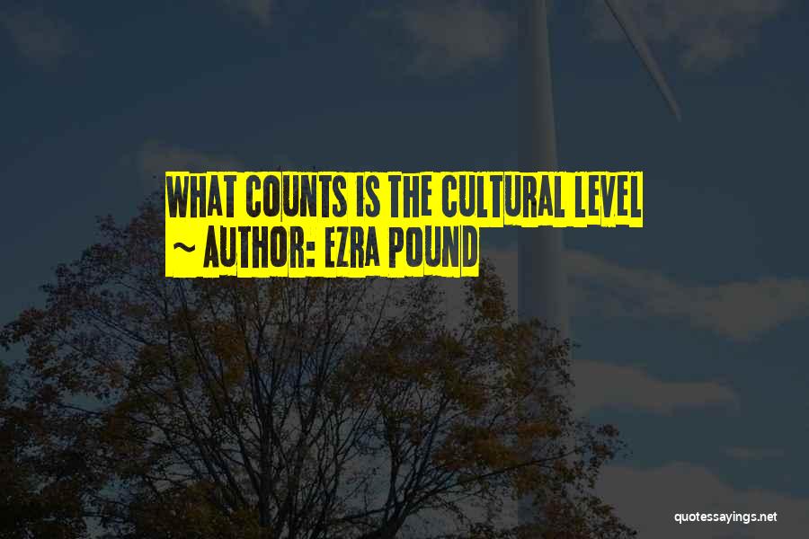 Ezra Pound Quotes: What Counts Is The Cultural Level