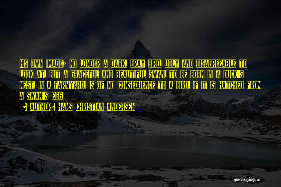 Hans Christian Andersen Quotes: His Own Image; No Longer A Dark, Gray Bird, Ugly And Disagreeable To Look At, But A Graceful And Beautiful
