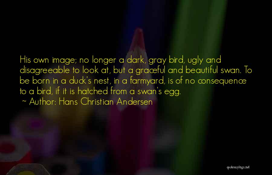 Hans Christian Andersen Quotes: His Own Image; No Longer A Dark, Gray Bird, Ugly And Disagreeable To Look At, But A Graceful And Beautiful