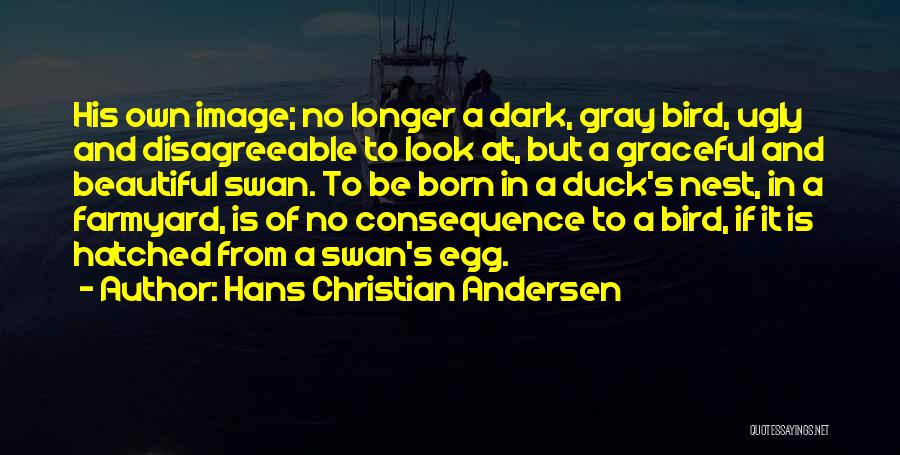 Hans Christian Andersen Quotes: His Own Image; No Longer A Dark, Gray Bird, Ugly And Disagreeable To Look At, But A Graceful And Beautiful