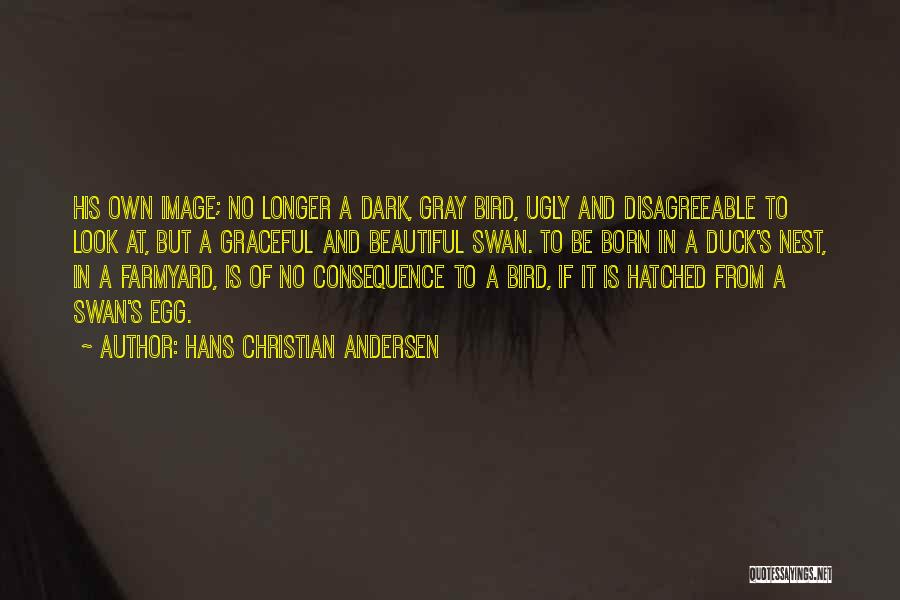 Hans Christian Andersen Quotes: His Own Image; No Longer A Dark, Gray Bird, Ugly And Disagreeable To Look At, But A Graceful And Beautiful