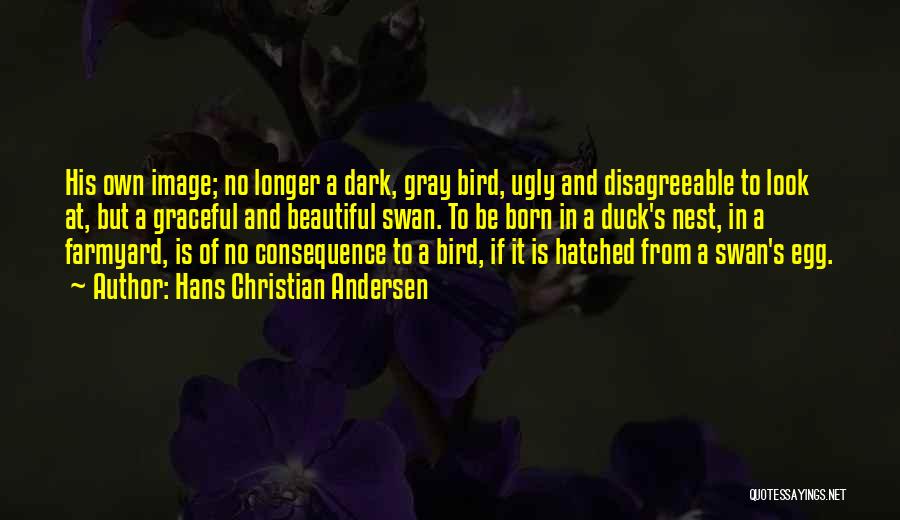 Hans Christian Andersen Quotes: His Own Image; No Longer A Dark, Gray Bird, Ugly And Disagreeable To Look At, But A Graceful And Beautiful