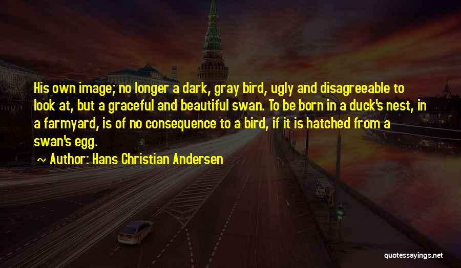 Hans Christian Andersen Quotes: His Own Image; No Longer A Dark, Gray Bird, Ugly And Disagreeable To Look At, But A Graceful And Beautiful