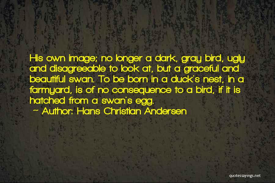 Hans Christian Andersen Quotes: His Own Image; No Longer A Dark, Gray Bird, Ugly And Disagreeable To Look At, But A Graceful And Beautiful