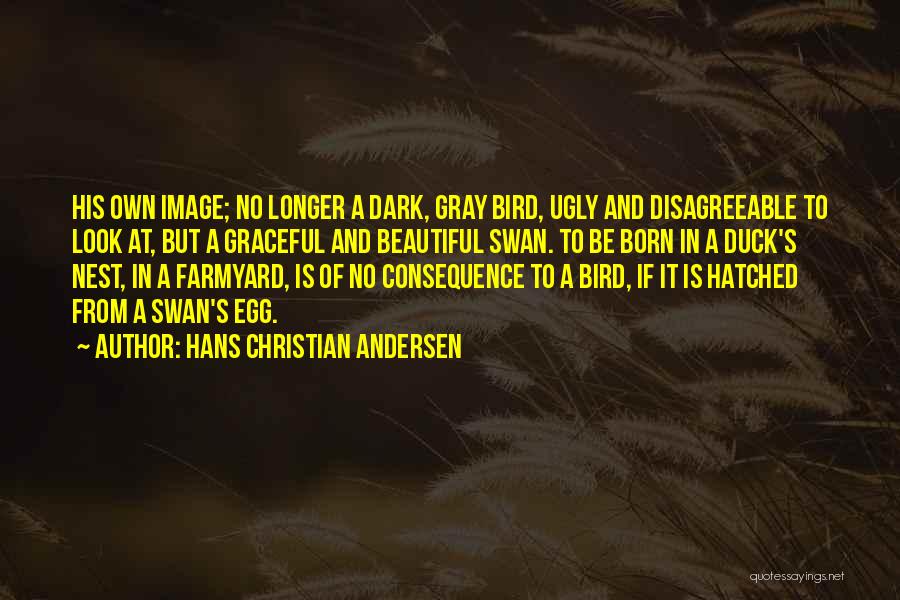 Hans Christian Andersen Quotes: His Own Image; No Longer A Dark, Gray Bird, Ugly And Disagreeable To Look At, But A Graceful And Beautiful