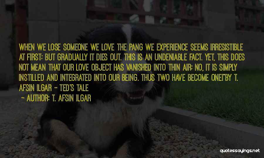 T. Afsin Ilgar Quotes: When We Lose Someone We Love The Pang We Experience Seems Irresistible At First; But Gradually It Dies Out. This