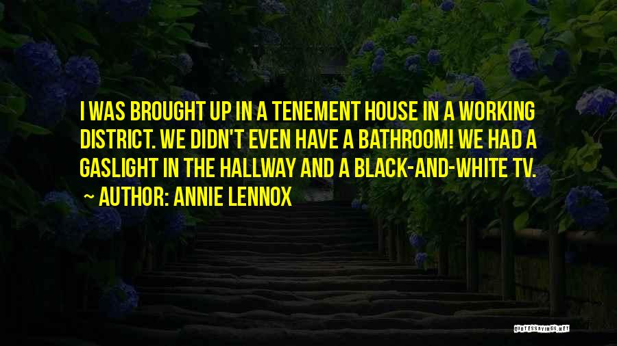 Annie Lennox Quotes: I Was Brought Up In A Tenement House In A Working District. We Didn't Even Have A Bathroom! We Had
