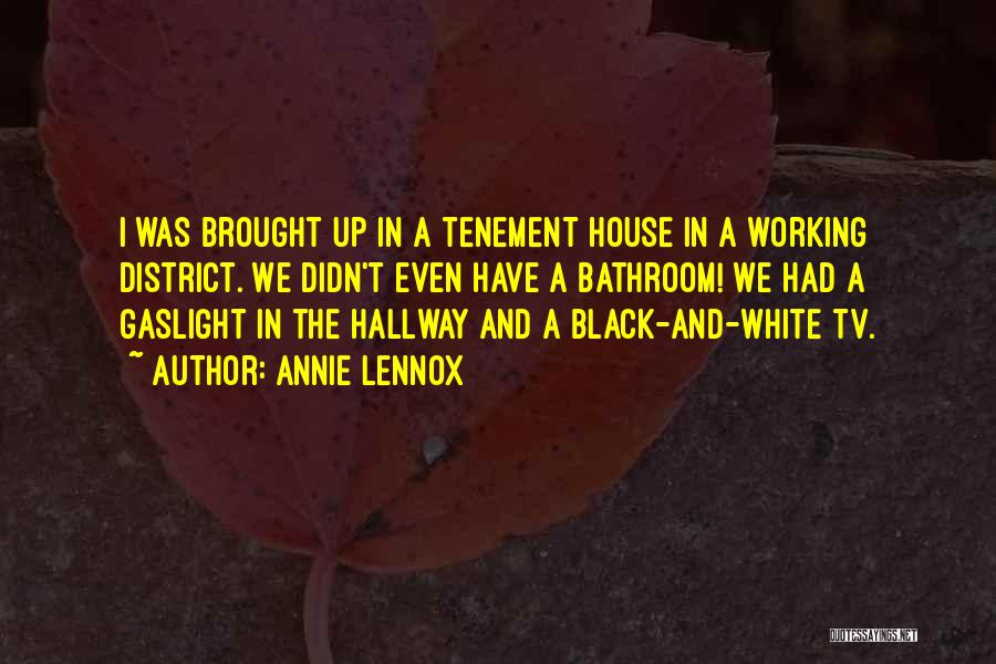 Annie Lennox Quotes: I Was Brought Up In A Tenement House In A Working District. We Didn't Even Have A Bathroom! We Had