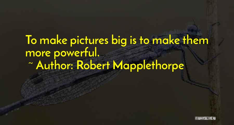 Robert Mapplethorpe Quotes: To Make Pictures Big Is To Make Them More Powerful.