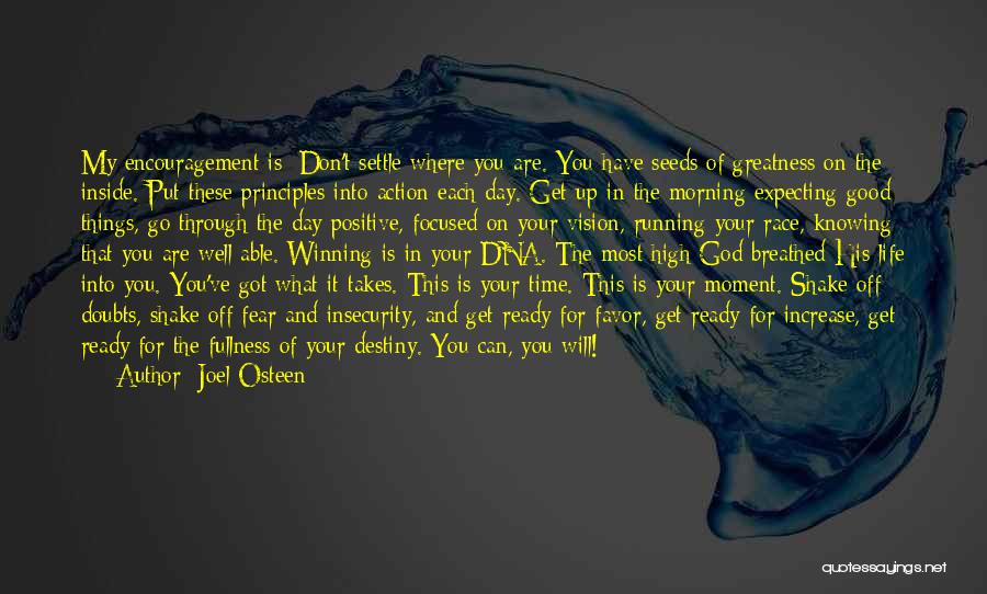 Joel Osteen Quotes: My Encouragement Is: Don't Settle Where You Are. You Have Seeds Of Greatness On The Inside. Put These Principles Into