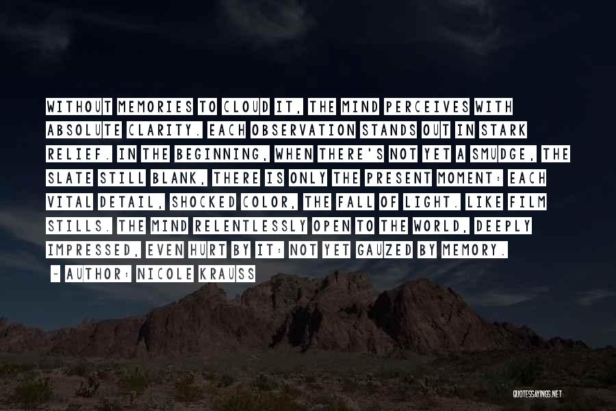 Nicole Krauss Quotes: Without Memories To Cloud It, The Mind Perceives With Absolute Clarity. Each Observation Stands Out In Stark Relief. In The