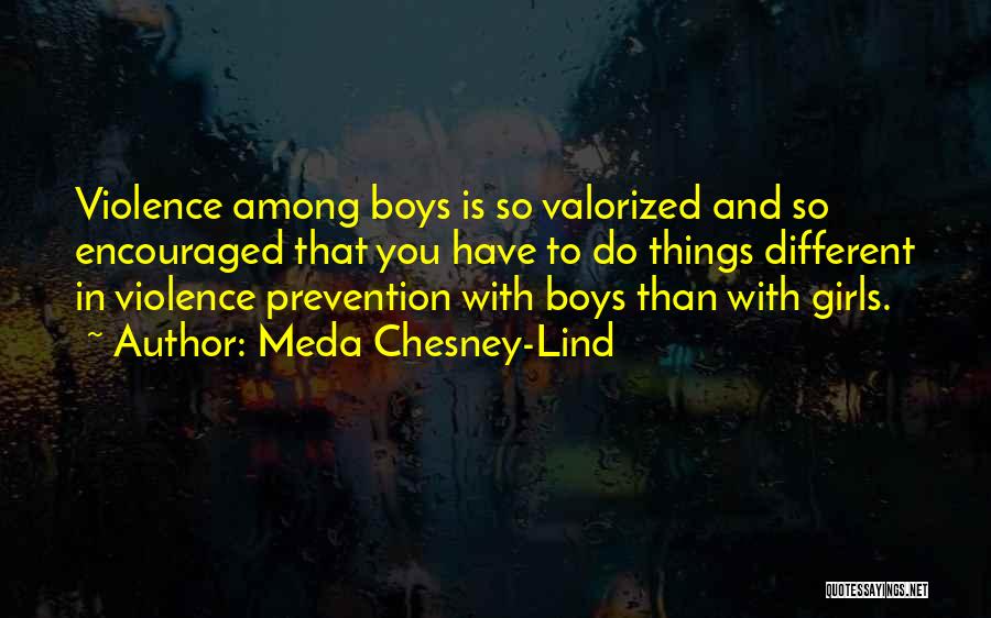 Meda Chesney-Lind Quotes: Violence Among Boys Is So Valorized And So Encouraged That You Have To Do Things Different In Violence Prevention With