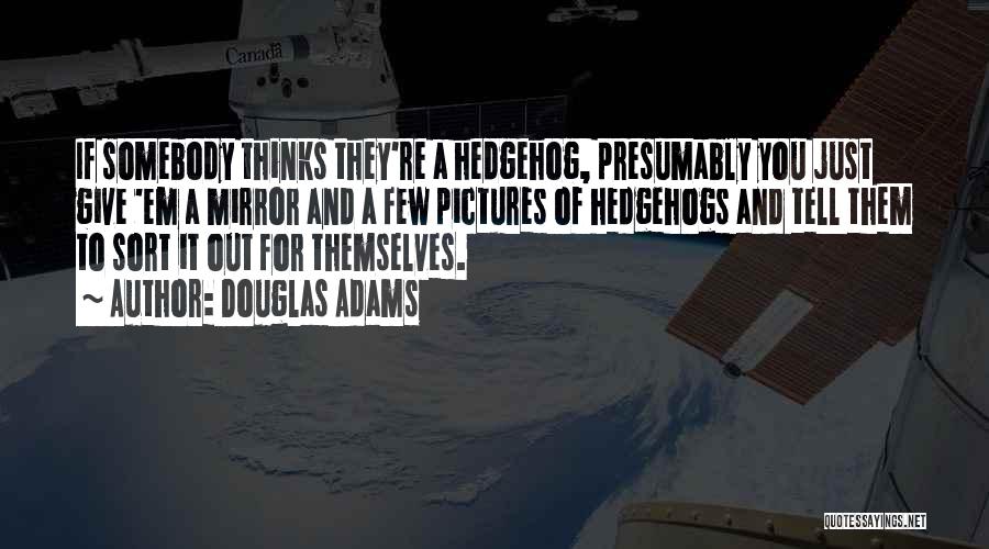 Douglas Adams Quotes: If Somebody Thinks They're A Hedgehog, Presumably You Just Give 'em A Mirror And A Few Pictures Of Hedgehogs And