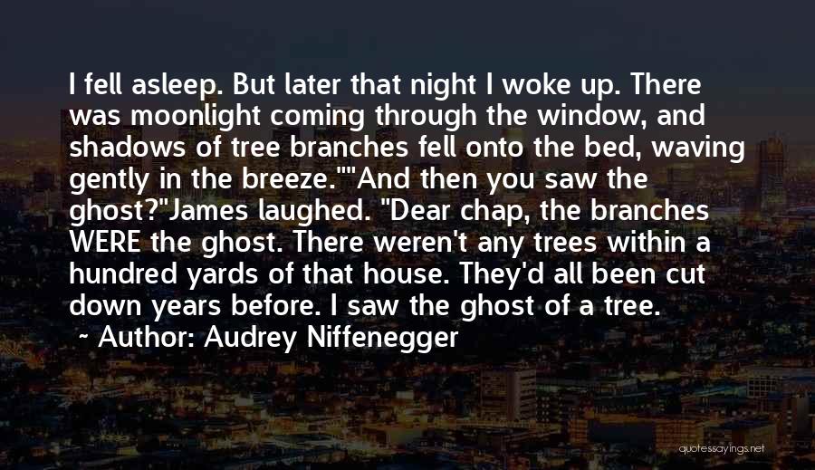 Audrey Niffenegger Quotes: I Fell Asleep. But Later That Night I Woke Up. There Was Moonlight Coming Through The Window, And Shadows Of