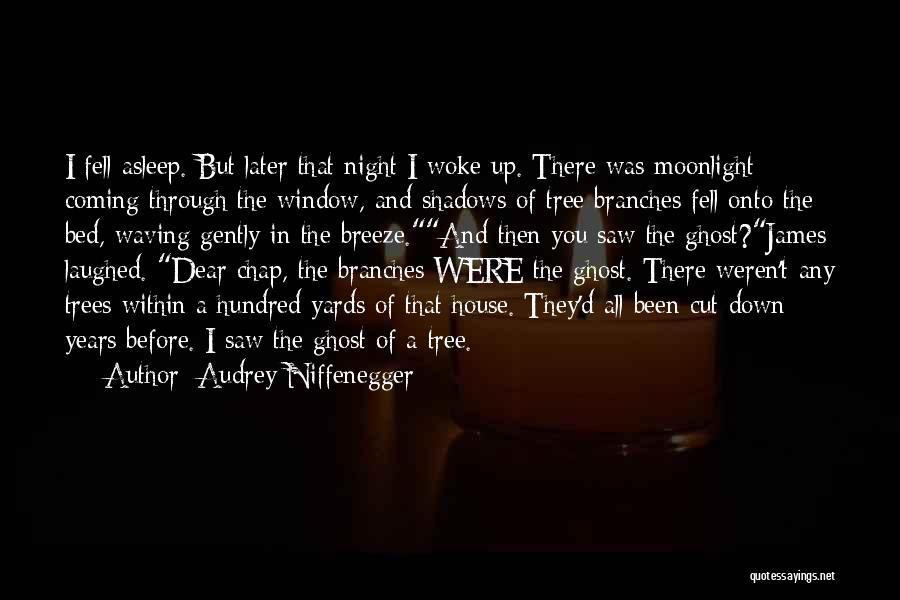 Audrey Niffenegger Quotes: I Fell Asleep. But Later That Night I Woke Up. There Was Moonlight Coming Through The Window, And Shadows Of