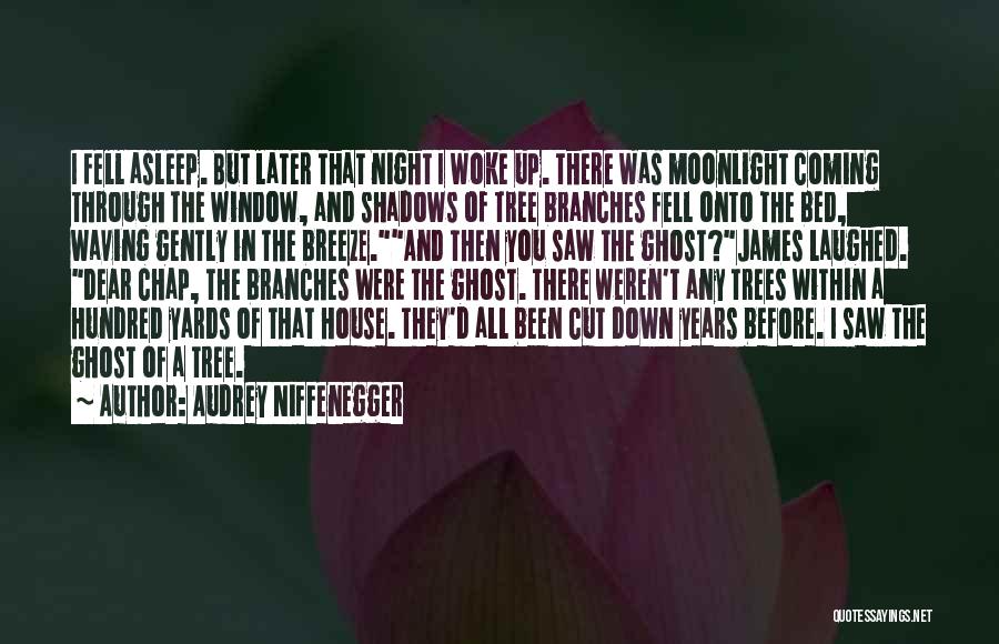 Audrey Niffenegger Quotes: I Fell Asleep. But Later That Night I Woke Up. There Was Moonlight Coming Through The Window, And Shadows Of