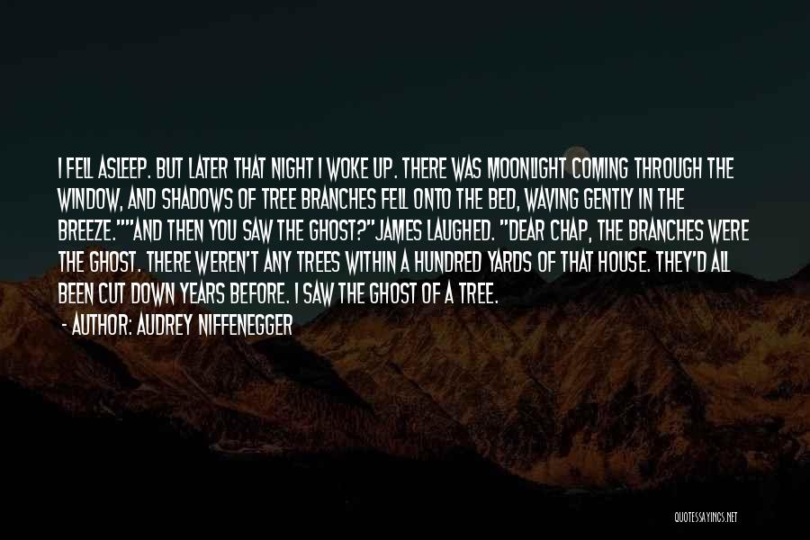 Audrey Niffenegger Quotes: I Fell Asleep. But Later That Night I Woke Up. There Was Moonlight Coming Through The Window, And Shadows Of