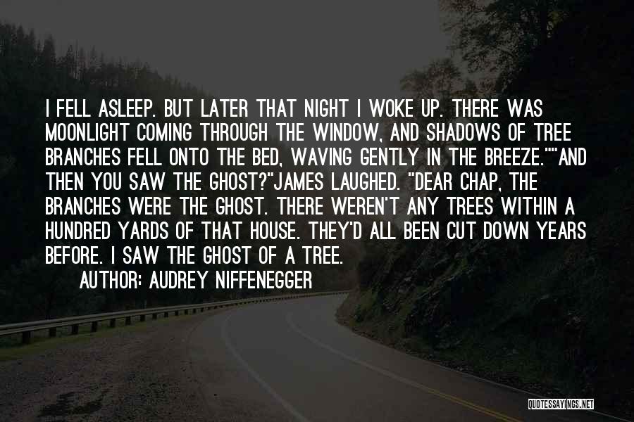 Audrey Niffenegger Quotes: I Fell Asleep. But Later That Night I Woke Up. There Was Moonlight Coming Through The Window, And Shadows Of