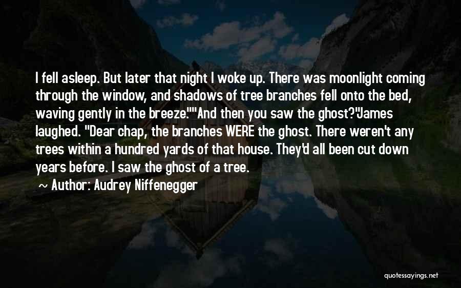 Audrey Niffenegger Quotes: I Fell Asleep. But Later That Night I Woke Up. There Was Moonlight Coming Through The Window, And Shadows Of