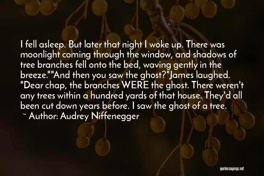 Audrey Niffenegger Quotes: I Fell Asleep. But Later That Night I Woke Up. There Was Moonlight Coming Through The Window, And Shadows Of
