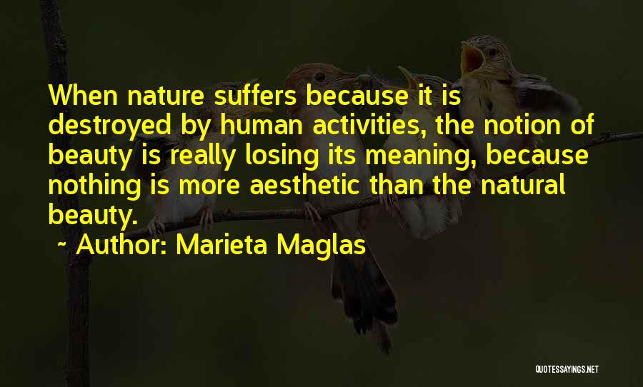 Marieta Maglas Quotes: When Nature Suffers Because It Is Destroyed By Human Activities, The Notion Of Beauty Is Really Losing Its Meaning, Because