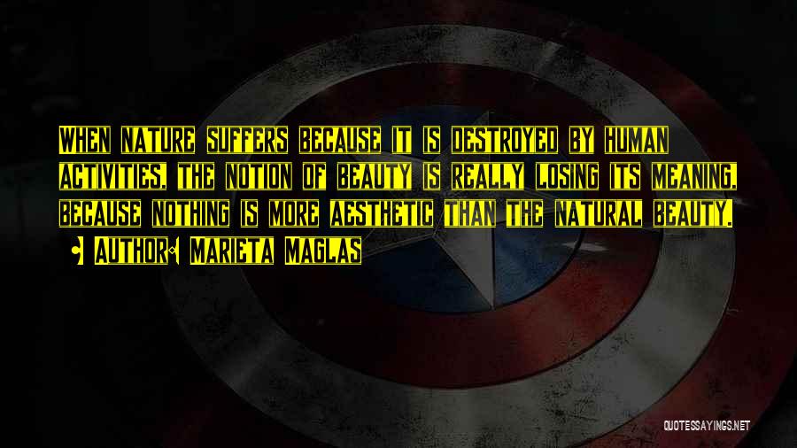 Marieta Maglas Quotes: When Nature Suffers Because It Is Destroyed By Human Activities, The Notion Of Beauty Is Really Losing Its Meaning, Because