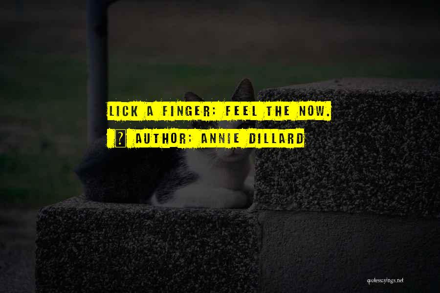 Annie Dillard Quotes: Lick A Finger: Feel The Now.