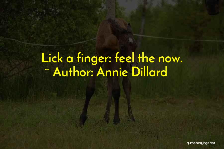 Annie Dillard Quotes: Lick A Finger: Feel The Now.