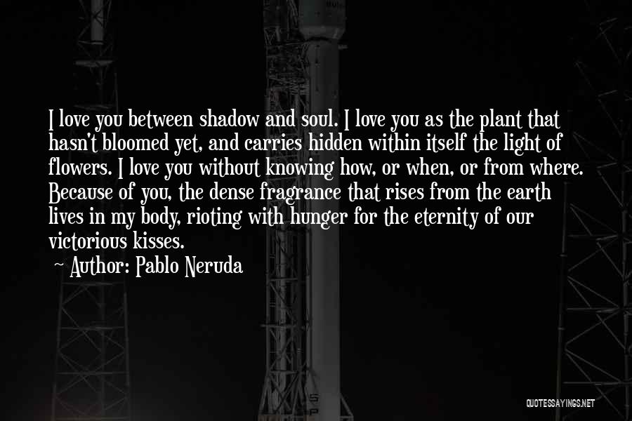 Pablo Neruda Quotes: I Love You Between Shadow And Soul. I Love You As The Plant That Hasn't Bloomed Yet, And Carries Hidden