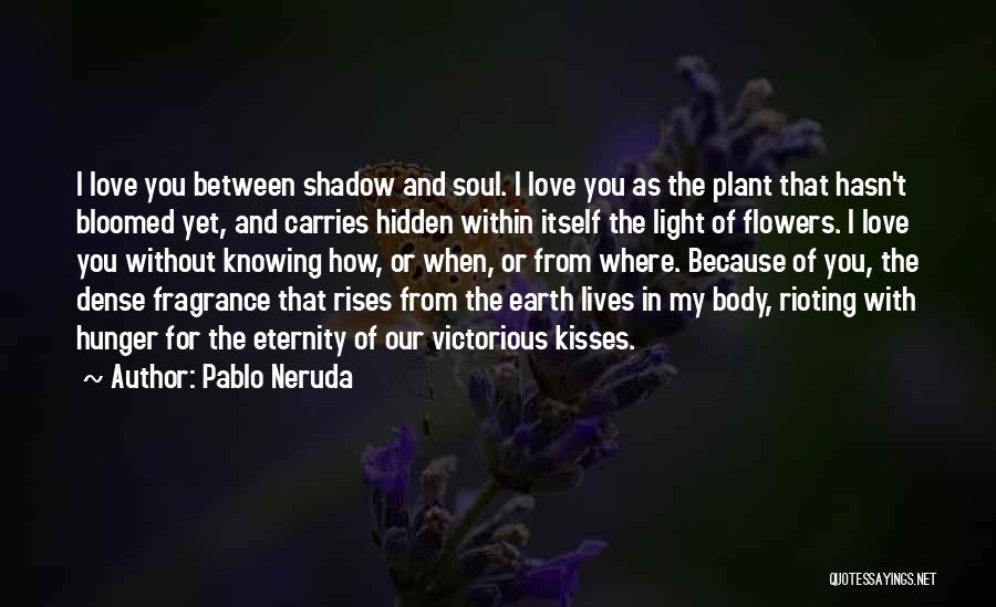 Pablo Neruda Quotes: I Love You Between Shadow And Soul. I Love You As The Plant That Hasn't Bloomed Yet, And Carries Hidden