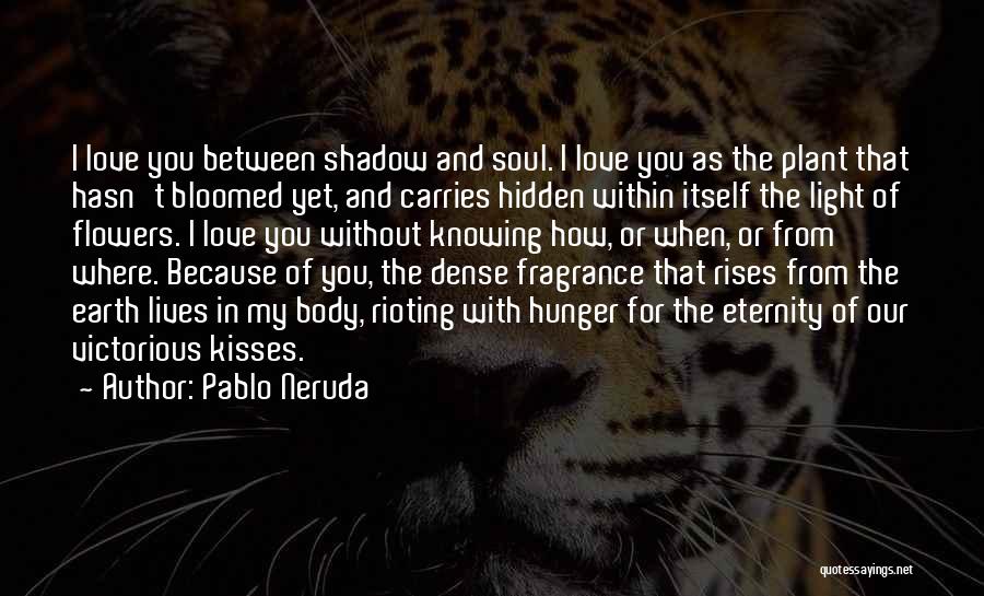 Pablo Neruda Quotes: I Love You Between Shadow And Soul. I Love You As The Plant That Hasn't Bloomed Yet, And Carries Hidden