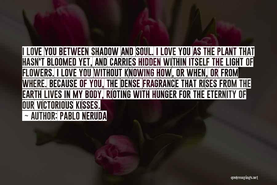 Pablo Neruda Quotes: I Love You Between Shadow And Soul. I Love You As The Plant That Hasn't Bloomed Yet, And Carries Hidden