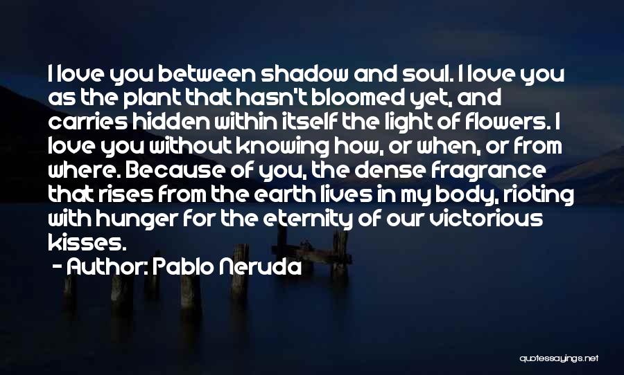 Pablo Neruda Quotes: I Love You Between Shadow And Soul. I Love You As The Plant That Hasn't Bloomed Yet, And Carries Hidden