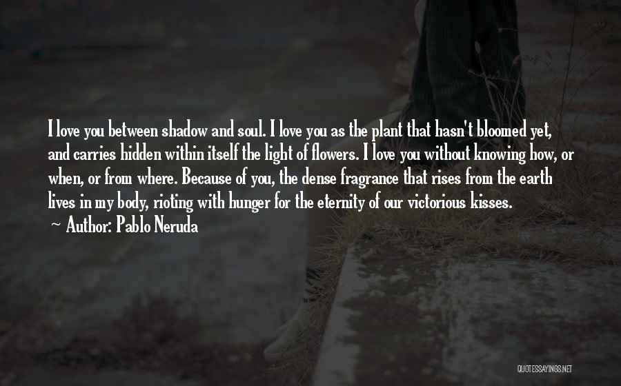 Pablo Neruda Quotes: I Love You Between Shadow And Soul. I Love You As The Plant That Hasn't Bloomed Yet, And Carries Hidden