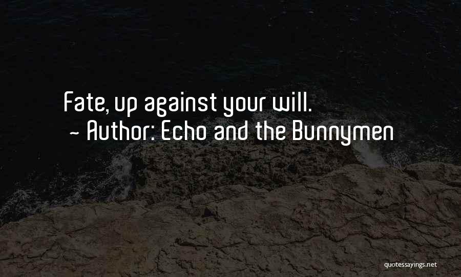 Echo And The Bunnymen Quotes: Fate, Up Against Your Will.