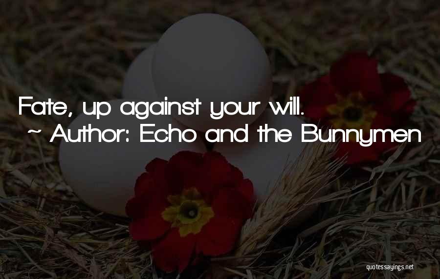 Echo And The Bunnymen Quotes: Fate, Up Against Your Will.
