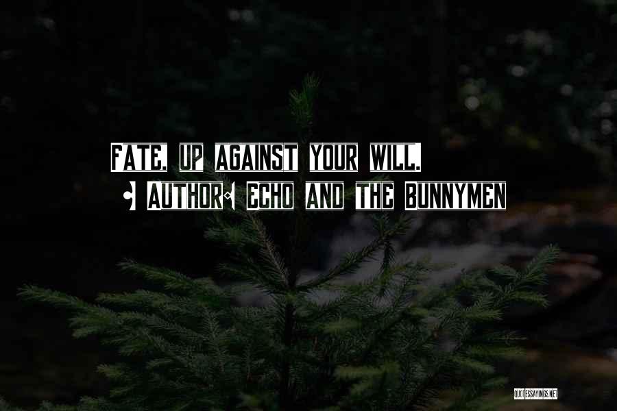Echo And The Bunnymen Quotes: Fate, Up Against Your Will.