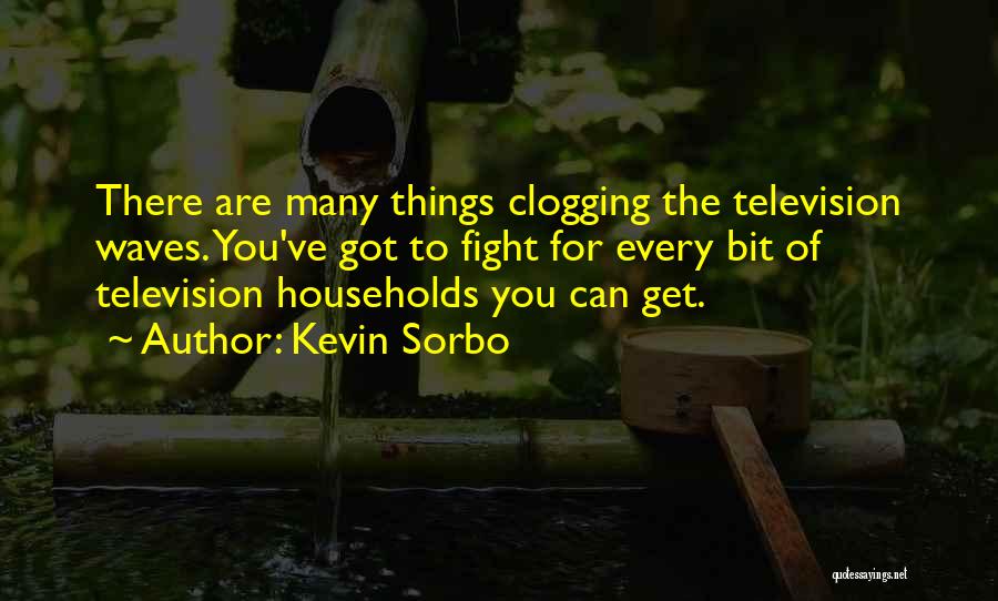 Kevin Sorbo Quotes: There Are Many Things Clogging The Television Waves. You've Got To Fight For Every Bit Of Television Households You Can