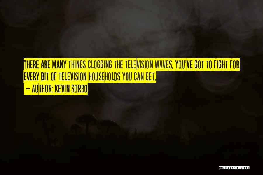 Kevin Sorbo Quotes: There Are Many Things Clogging The Television Waves. You've Got To Fight For Every Bit Of Television Households You Can