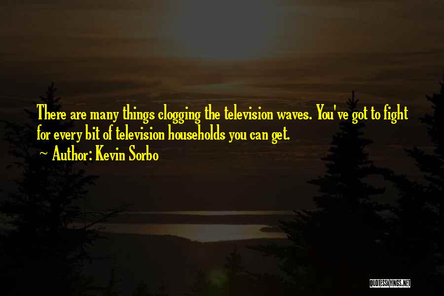 Kevin Sorbo Quotes: There Are Many Things Clogging The Television Waves. You've Got To Fight For Every Bit Of Television Households You Can