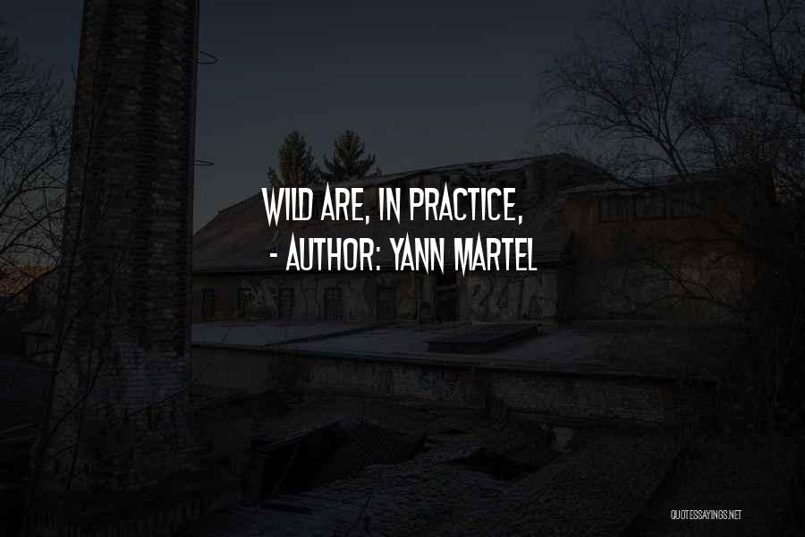 Yann Martel Quotes: Wild Are, In Practice,