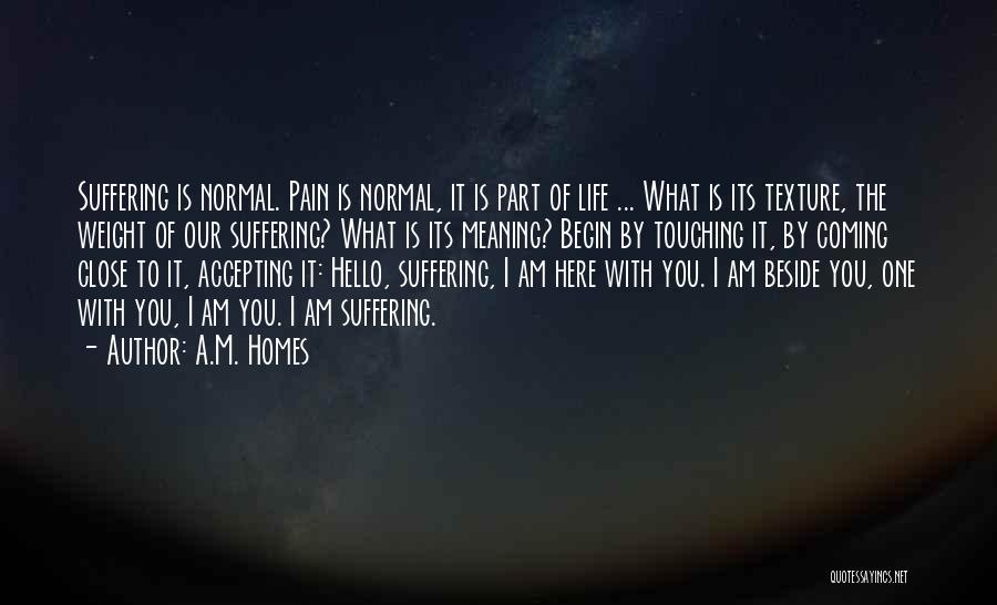 A.M. Homes Quotes: Suffering Is Normal. Pain Is Normal, It Is Part Of Life ... What Is Its Texture, The Weight Of Our