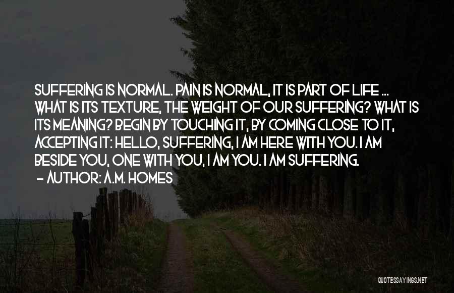 A.M. Homes Quotes: Suffering Is Normal. Pain Is Normal, It Is Part Of Life ... What Is Its Texture, The Weight Of Our