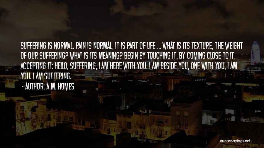 A.M. Homes Quotes: Suffering Is Normal. Pain Is Normal, It Is Part Of Life ... What Is Its Texture, The Weight Of Our